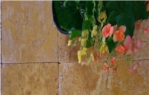 Travertino Dorado