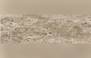 Travertino Fossil