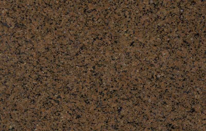 Tropical Brown