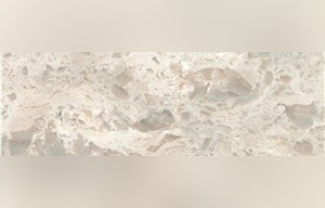 Turkey Shell Stone