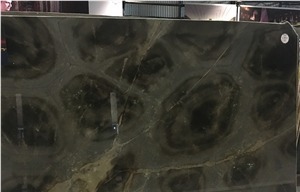 Turtle Green Quartzite