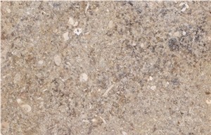 Vasalemma Limestone