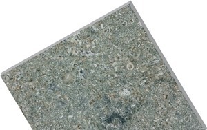 Vasalemma Limestone