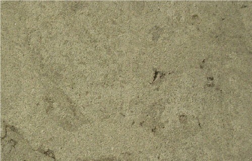 Verde Osona