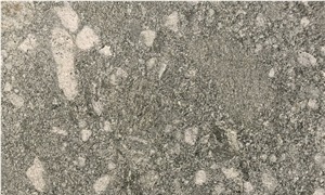 Verde Salvan Gneiss