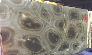Verde Tortuga Quartzite