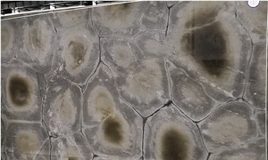 Verde Tortuga Quartzite