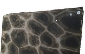 Verde Tortuga Quartzite