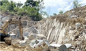 Vietnam Grey Sandstone