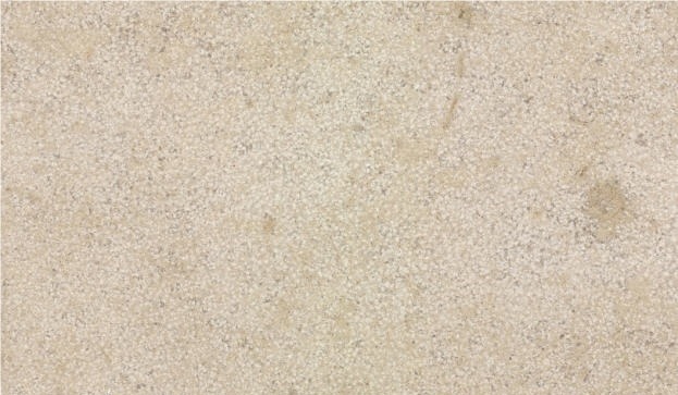 Vilhonneur Limestone