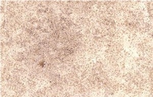 Vilhonneur Limestone