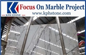 Vino Viola Calacatta Marble