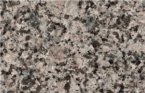 Vozrozhdenie Granite