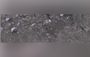Wardak Grey