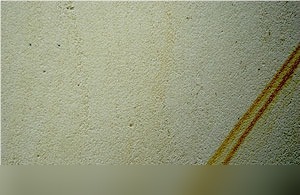 Warthau Sandstone