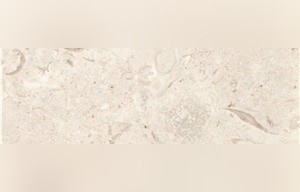 White Coral