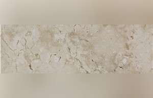 White Fossus Limestone