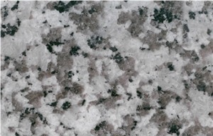 White Jinshan Granite