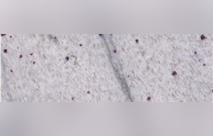 White Panther Granite