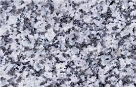 Xinjiang White Galaxy