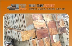 Yellow Bamboo Quartzite