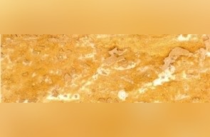Yellow Gerberia