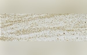 Yellow Lymjar Sandstone
