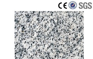 Yuexi Sesame White Granite
