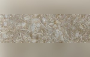 Zalat Limestone