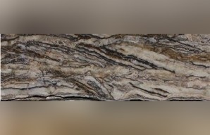 Zebra Onyx