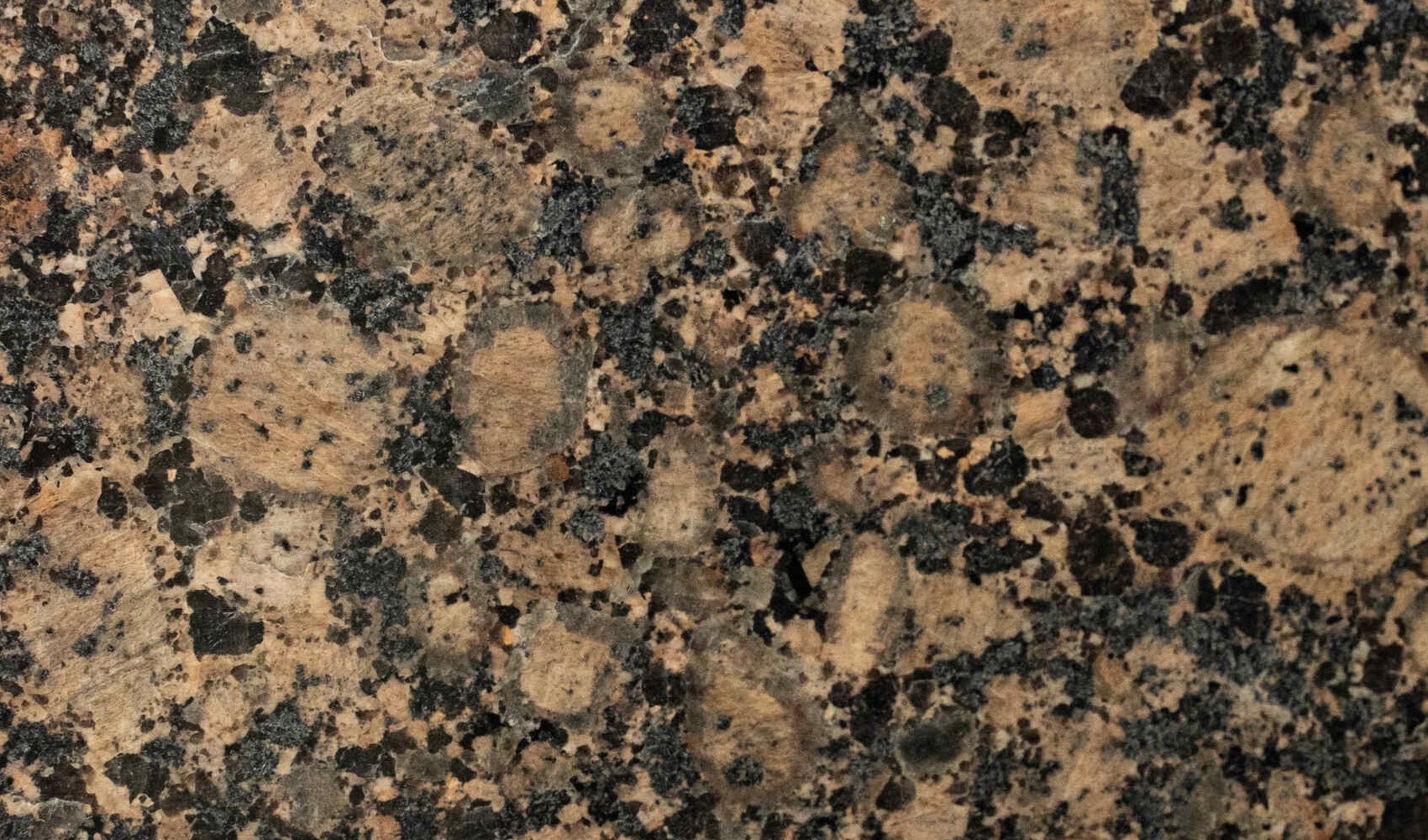 Baltic Brown