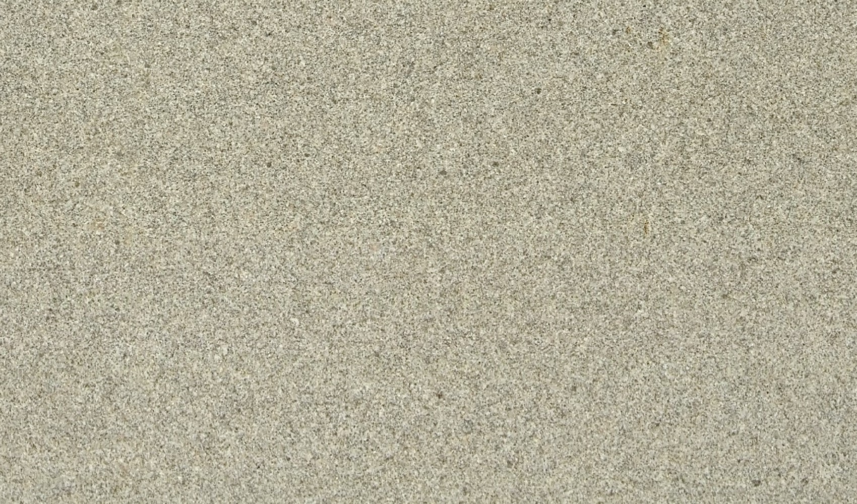 Bella Beige