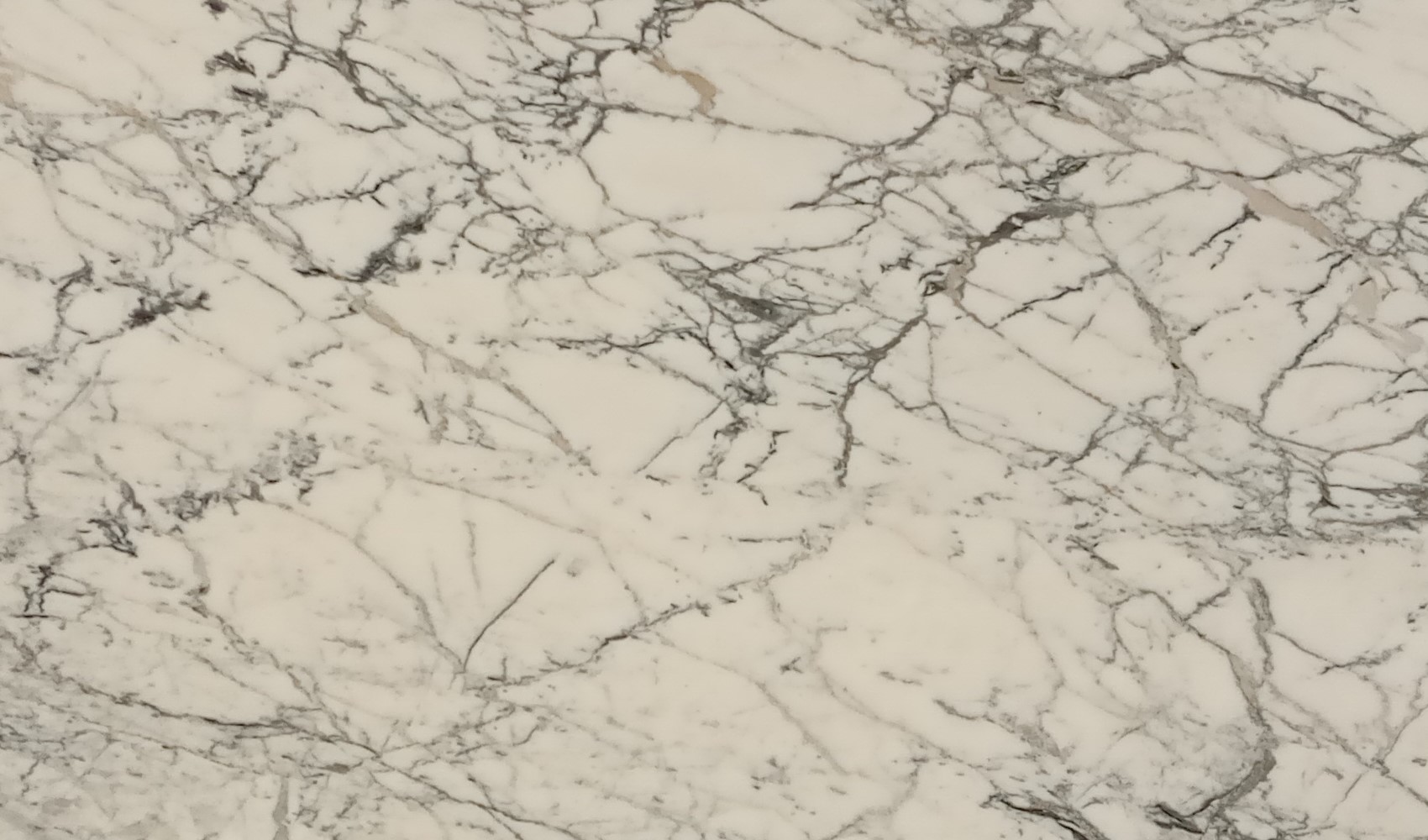 Calacatta Paonozzo White