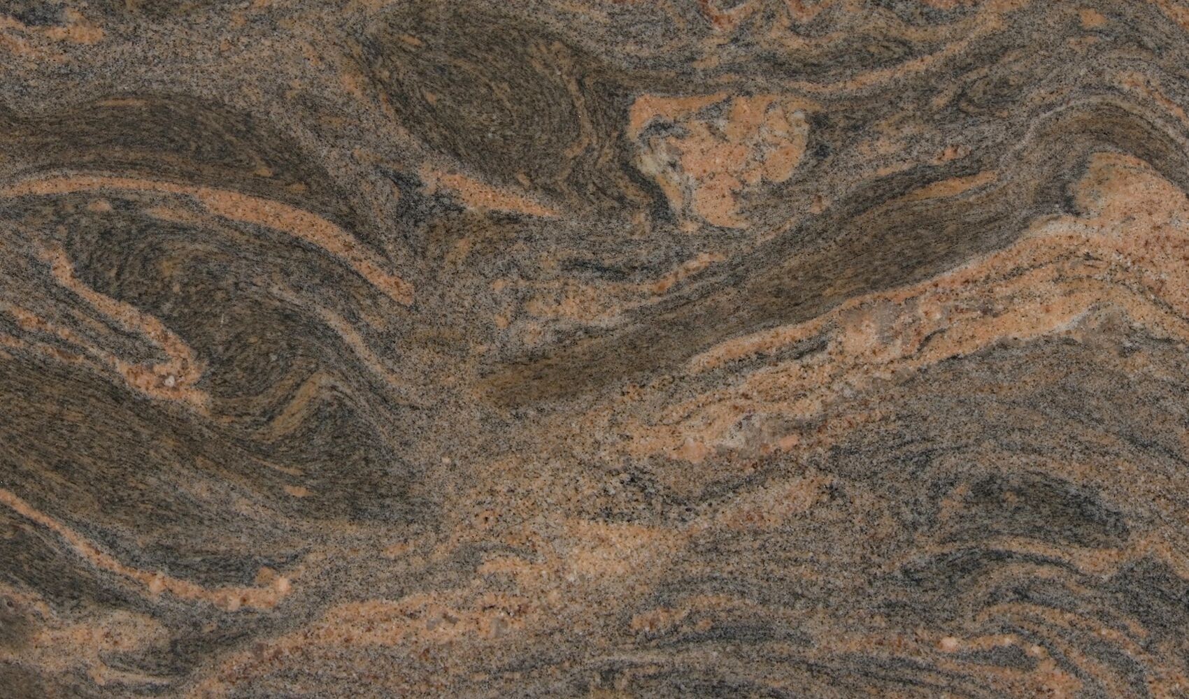 Himalayan Blue