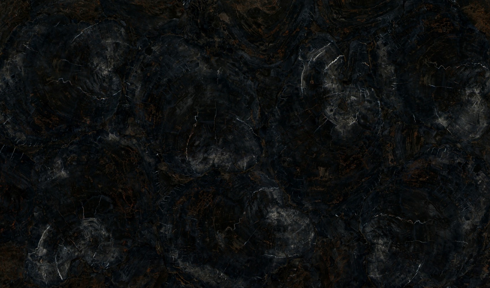Petrified Wood Black