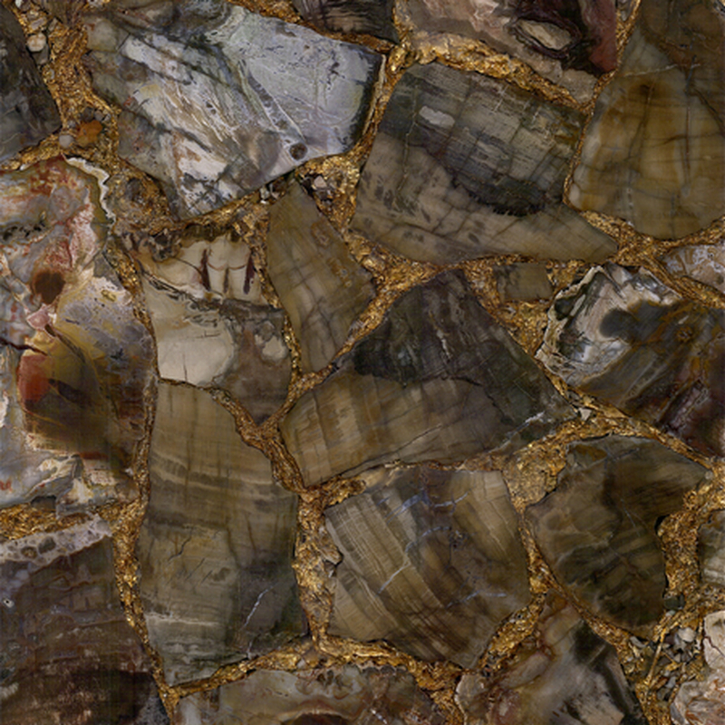 Petrified Wood Brown Gold