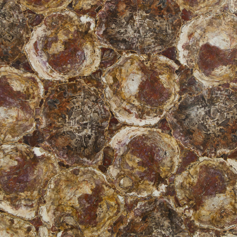 Petrified Wood Red