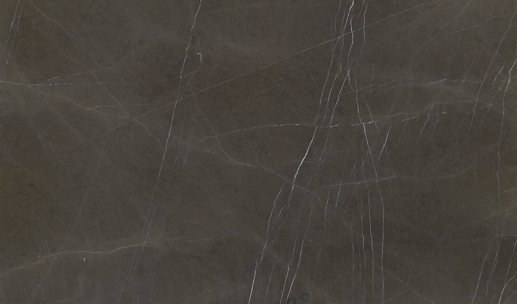 Pietra Grey Extra