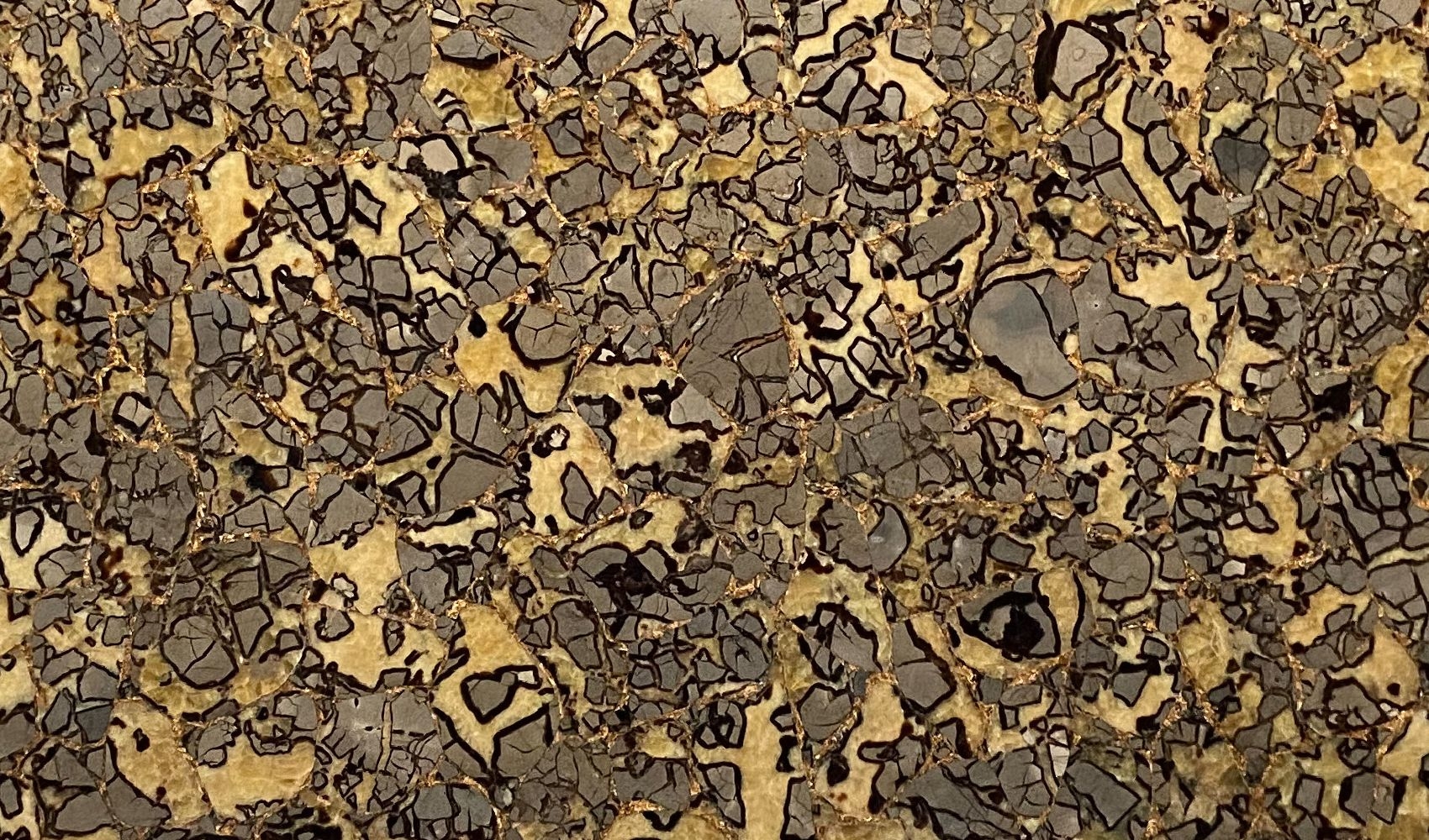 Septarian With Gold