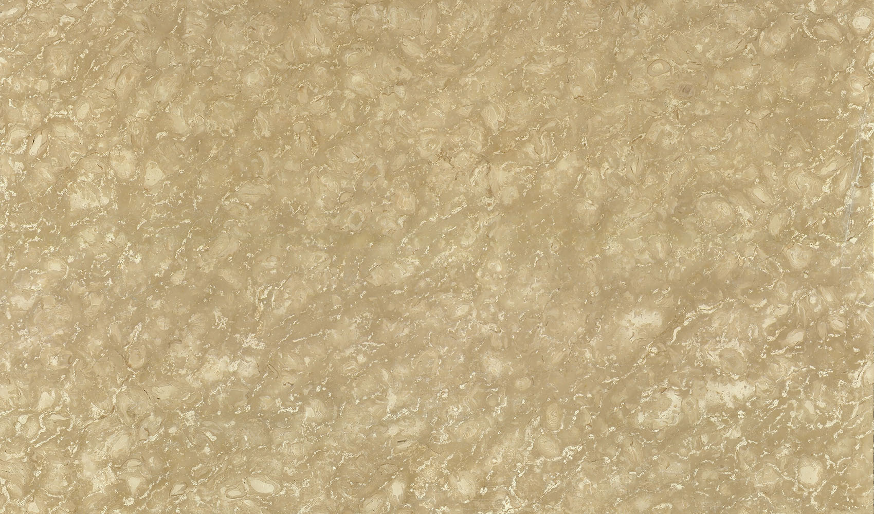 Shells Reef Beige