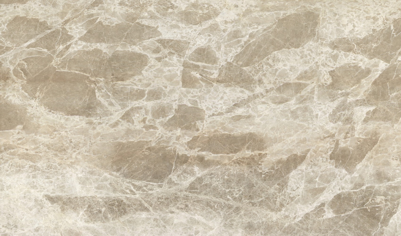 Spider Beige