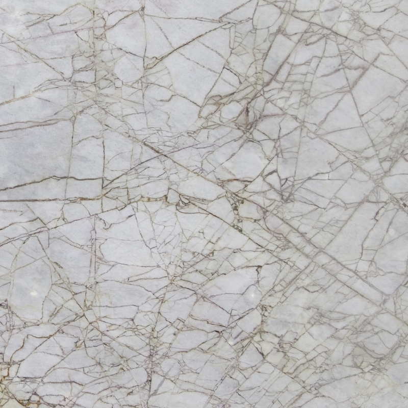 Spider White
