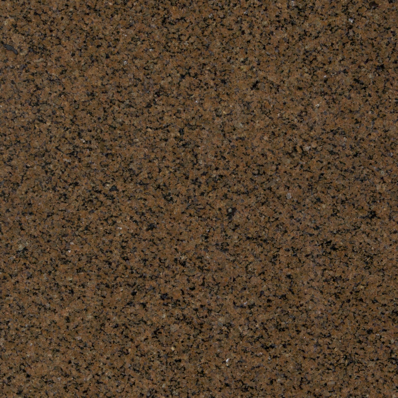 Tropical Brown