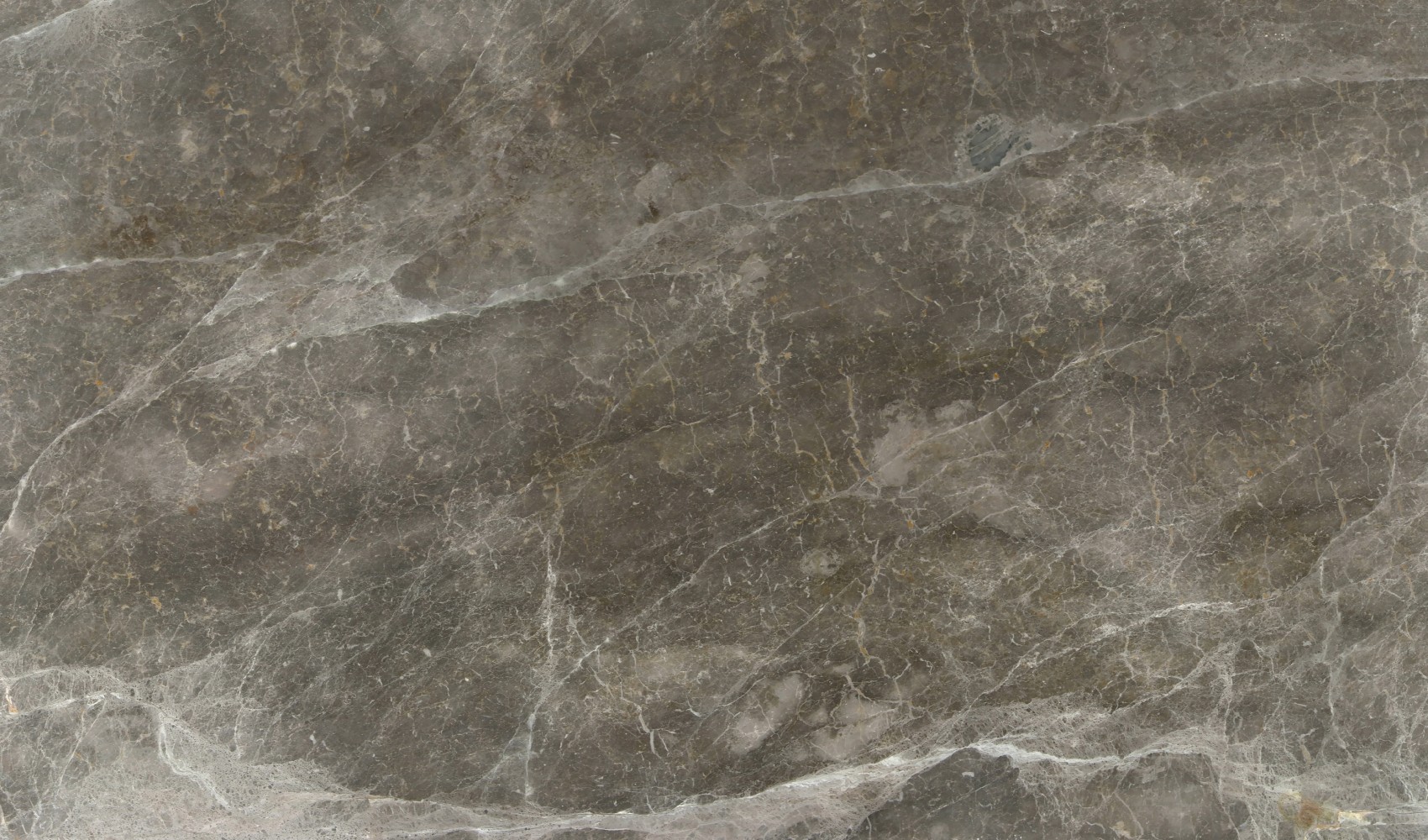 Tundra Grey