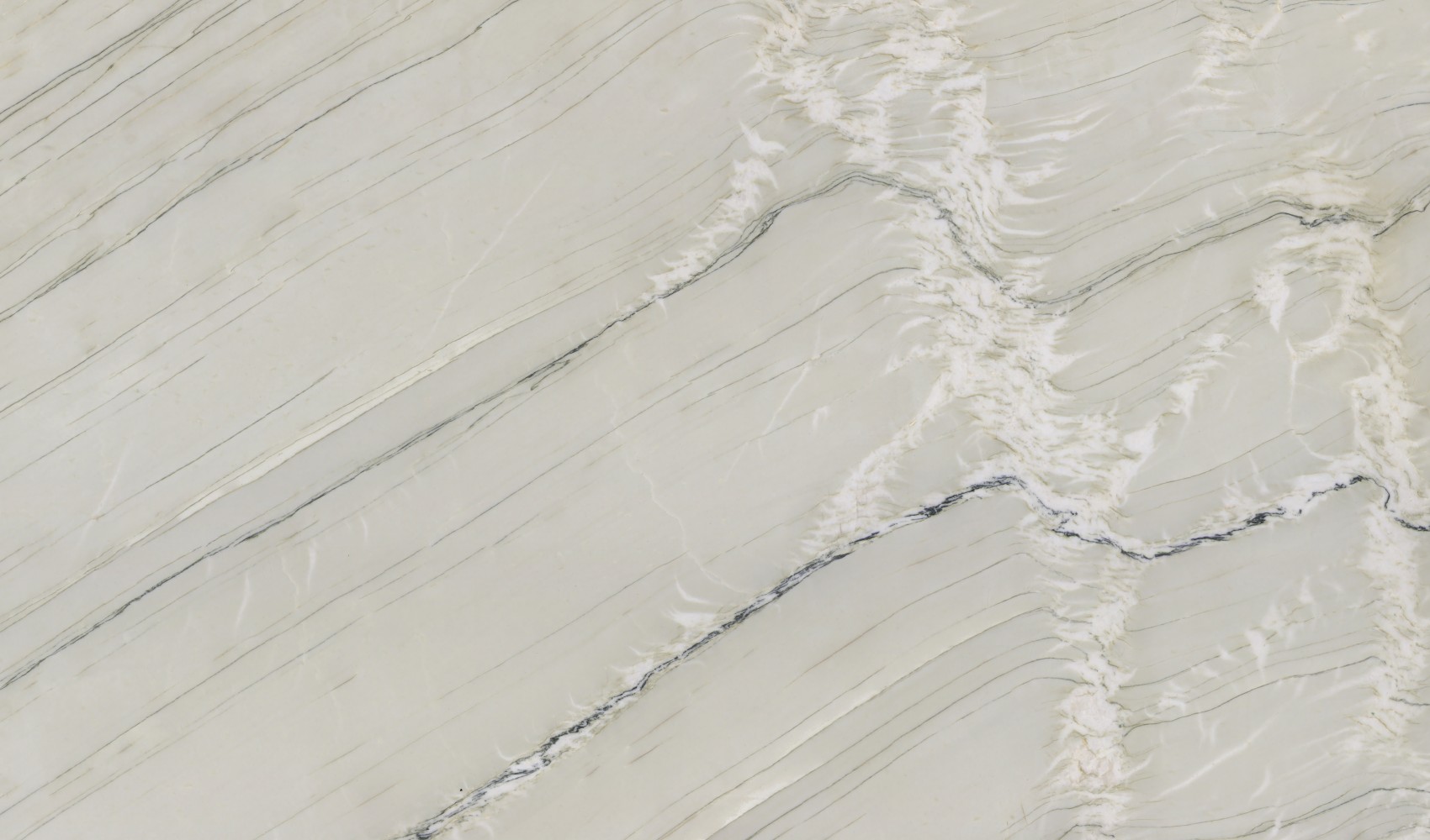 White Acara