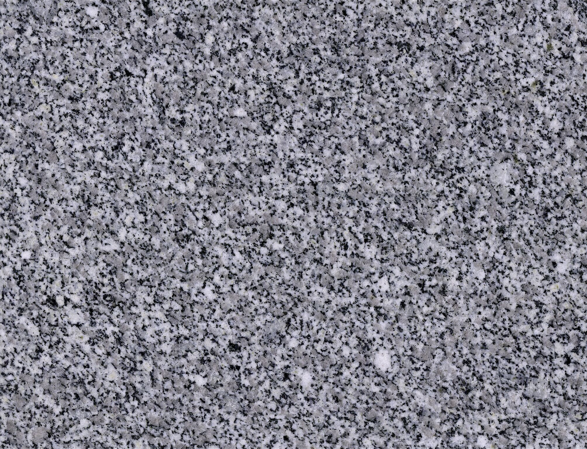 G603(V) Bella White