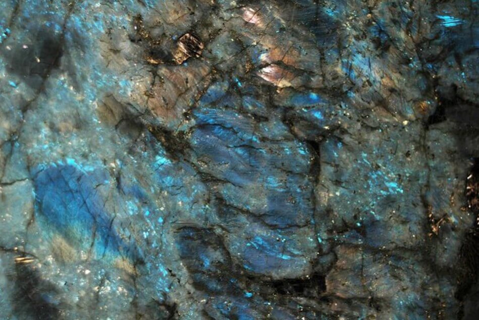 Lemurian Supreme
