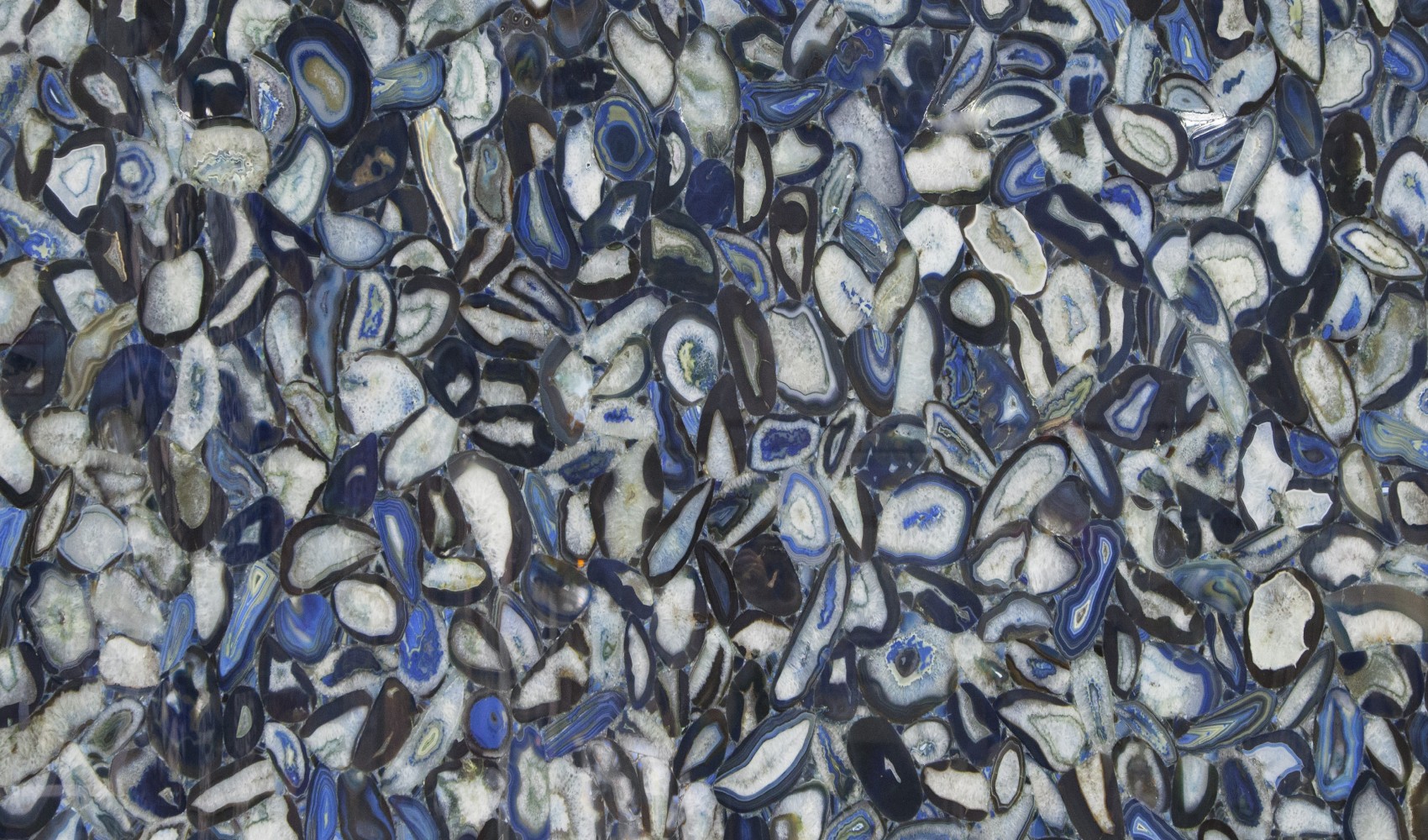 Agate Seaweed