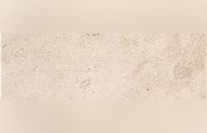 Akushinsky Limestone