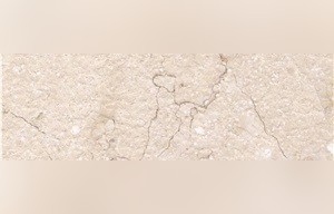 Al Shuyoukh Limestone